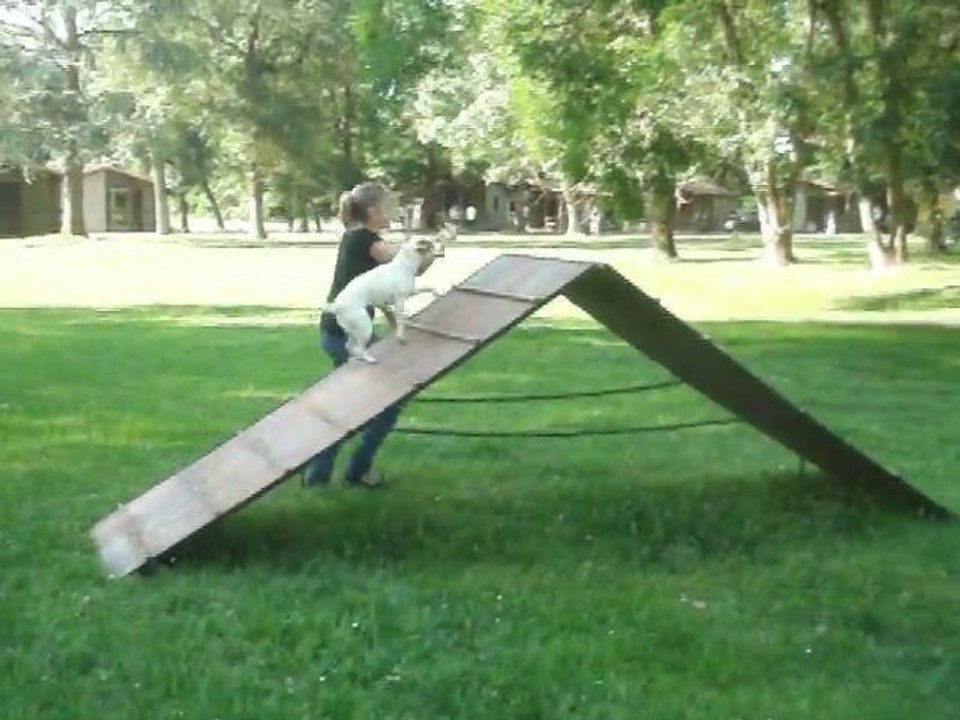 Agility ( Début )