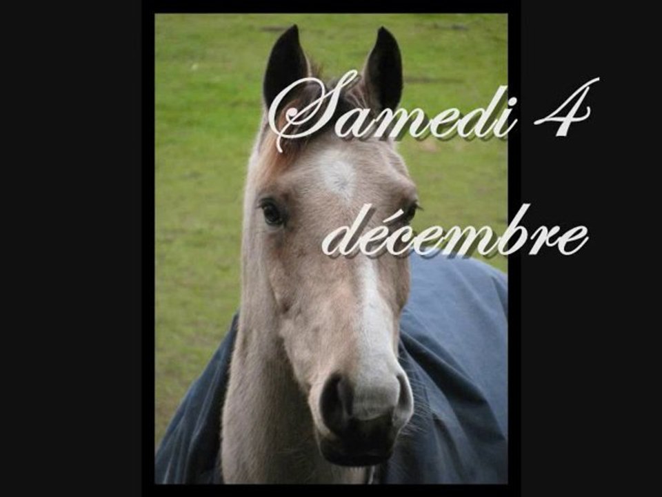 Moi && Nico / Horse-Ball ♥