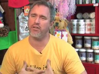 Dos And Don'ts Of Dog Fashion : What are the biggest faux pas in dog fashion?