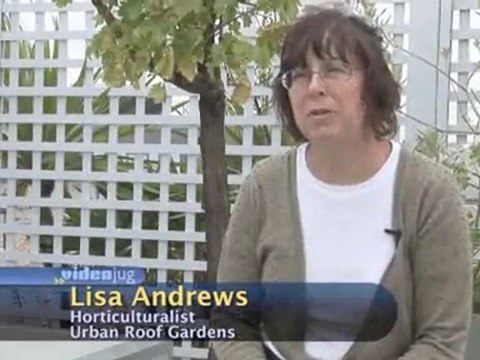 Roof Terraces And The Environment : How do roof terraces help retain water?