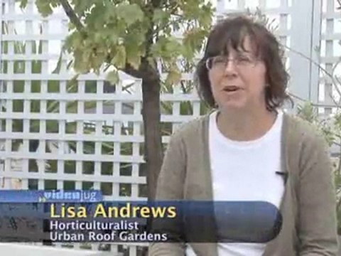 Roof Terraces And The Environment : How do roof terraces help to cool the air?