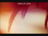 Kings Of Leon MARY Track 4 with Lyrics & download link