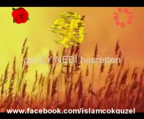 Gel Ey Nebi (S.A.V.)