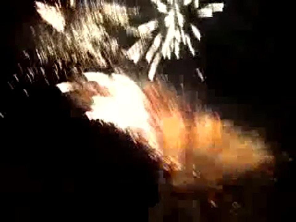 video portable du feu de MORESTEL 8 12 20104