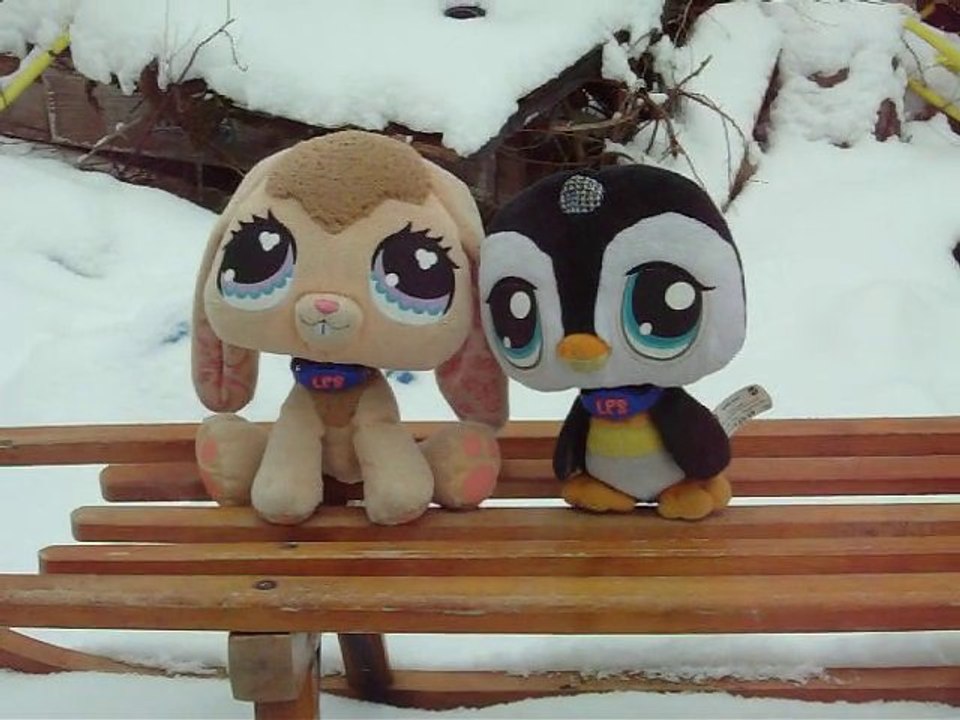 Praline et Pigloo fond de la luge
