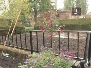 How To Plant A Summer Bedding Display