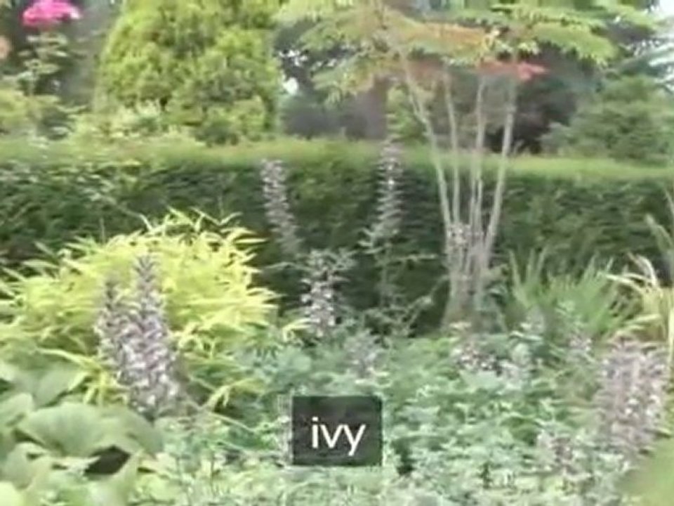 An Introduction To Compartmentalised Gardens
