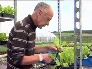 "Le travail  un peu, beaucoup, à la folie ou pas du tout ? "