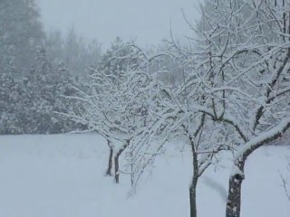 Quatrième épisode neigeux à Moyenvic