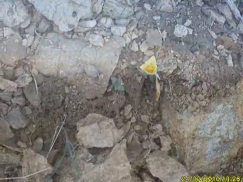 ŞUBAT 2010-3 A İRFAN VURAL (irfan-vural@hotmail.com)