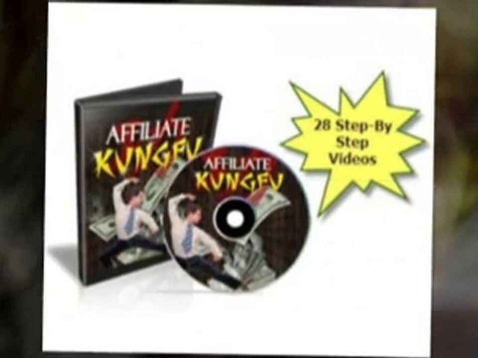 Affiliate Kung Fu