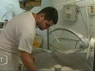 Thibault, meilleur jeune boulanger de France (Vendée)