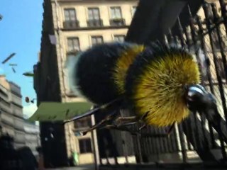 RENAULT, partner of "MyFrenchFilmFestival.com"