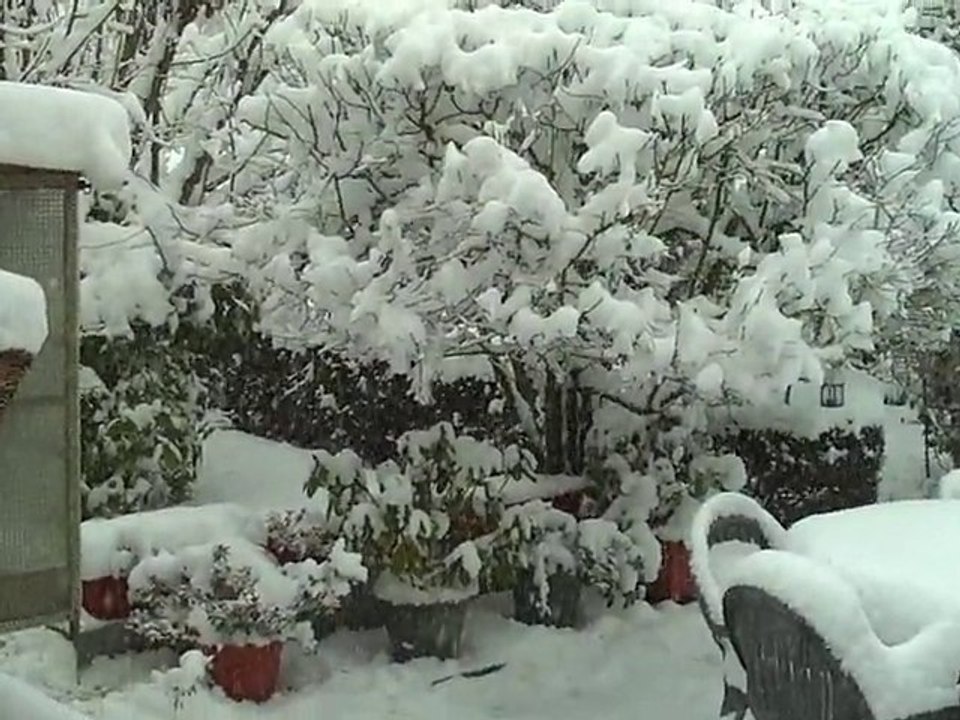 NEIGE 1912101