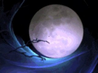 Pleine Lune du Chêne et Solstice d'Hiver