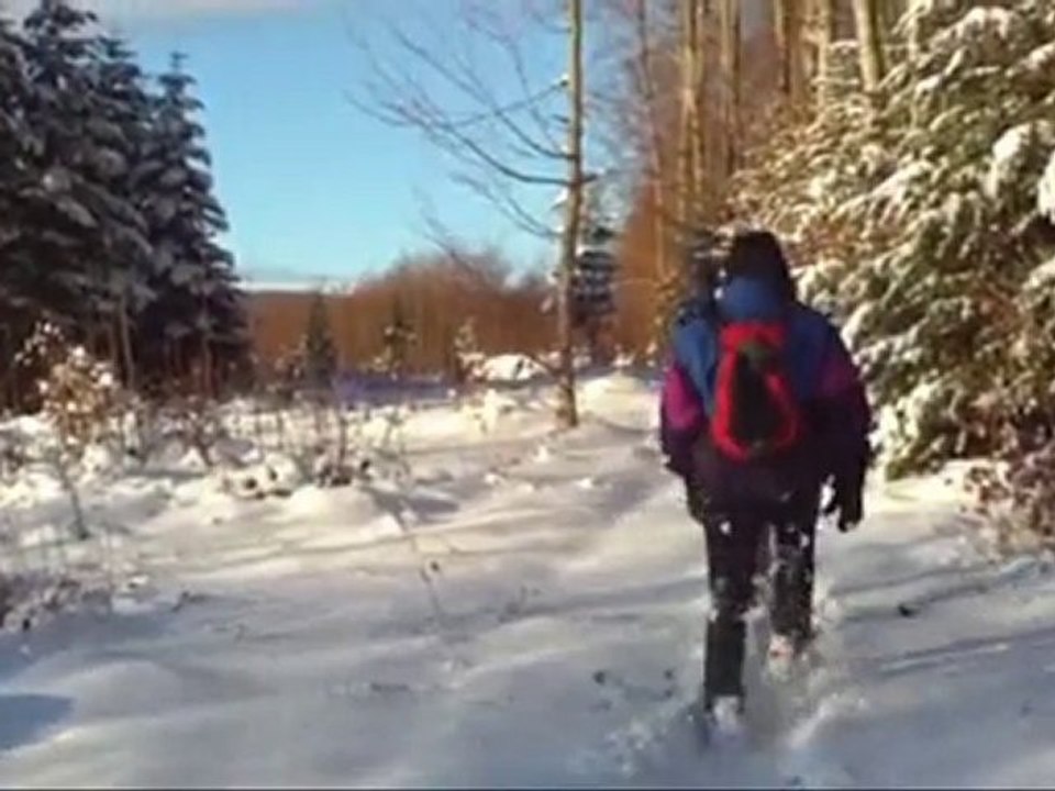 le GSAM en balade raquettes