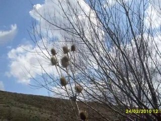 ŞUBAT 2010-4--İRFAN VURAL (irfan-vural@hotmail.com)