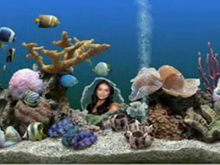 Pratic Aquarium