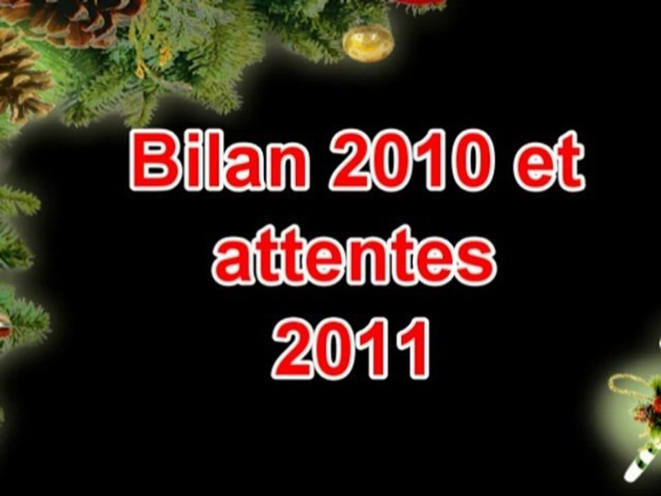 Bilan 2010 + Attentes 2011