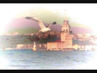 kuşlar-martılar....