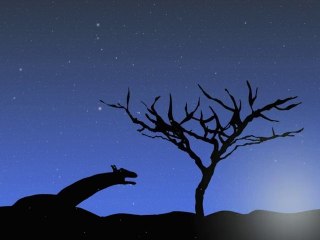 Joyeux Noël et Bonne Annee 2011à Méribel et Courchevel