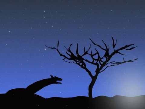 Joyeux Noël et Bonne Annee 2011à Méribel et Courchevel