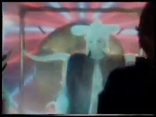 The Creatures   Maybe One Day