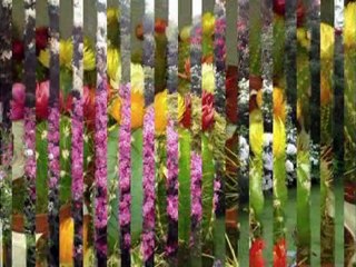 HACI FAHRETTİN KÖŞŞEKOĞLU-EYVAHDAYIM