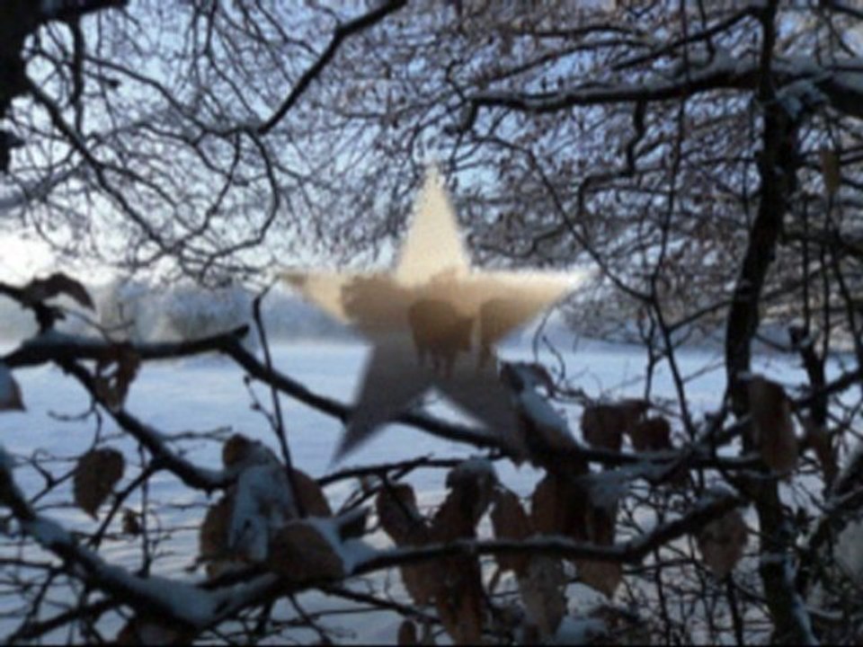 tombe la neige