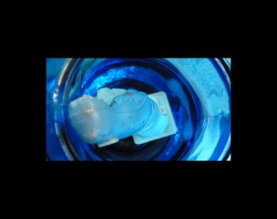 Vente aux enchères d'Ô précieuses