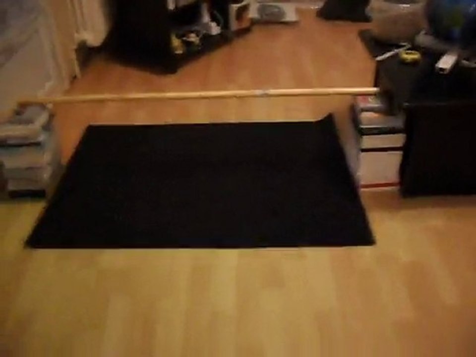 Saut de ma chienne fifty (30cm)