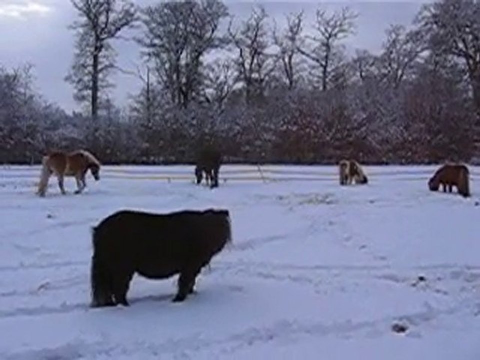 sido neige 21.12. 2010 013