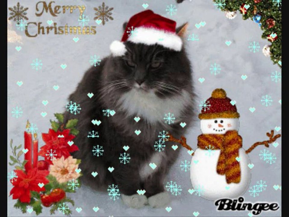 Jul och Nyårsbildspel på Revis - 10. Med julsång.