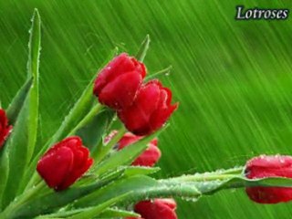 Ya İlahî-Ney [Kervansaray]