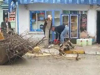 YİNE AĞAÇ KATLİAMI YAPILDI