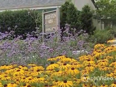 Suson Pines Apartments in Saint Louis, MO - ForRent.com