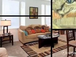 Costa Ibiza Apartments in Houston, TX - ForRent.com