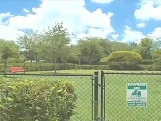 Lansbrook Village Apartments in Palm Harbor, FL - ...