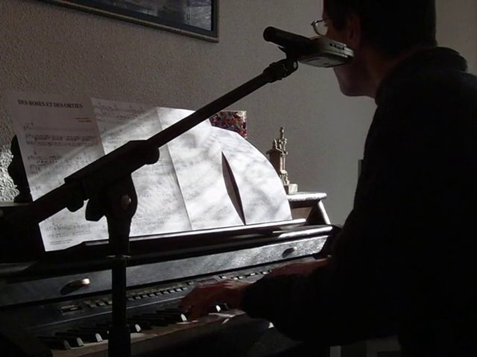 Francis Cabrel-Des roses et des orties