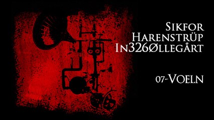 07 - Voeln