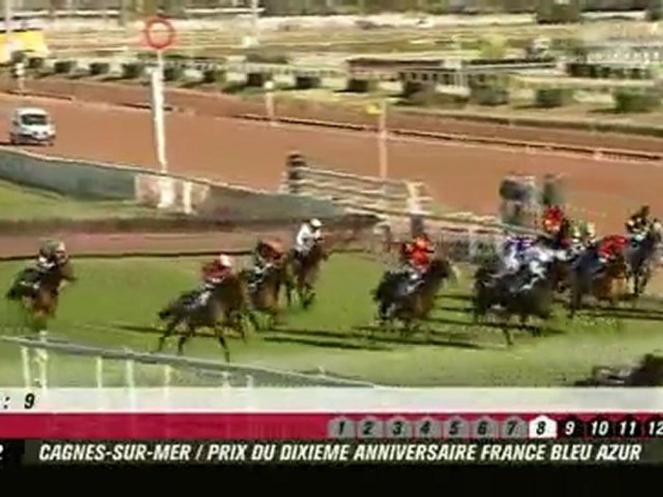ROYAL ULTIMATENIA