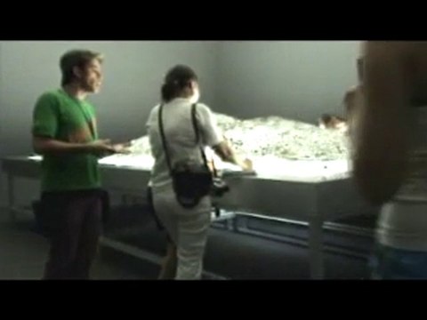 Alfredo Jaar, Santiago, Chile