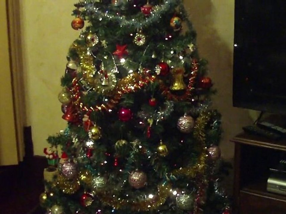 SAPIN DE NOEL2010
