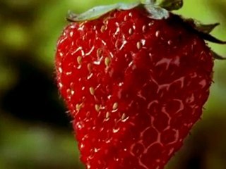 Çileğin hızlandırılmış olgunlaşma videosu