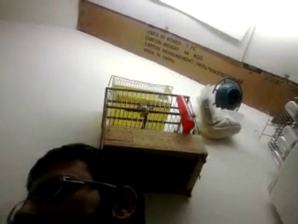 Video0105
