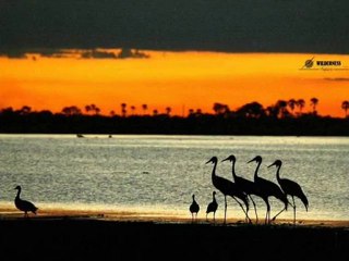 Ekrem Düzgünoğlu-Biliyorum