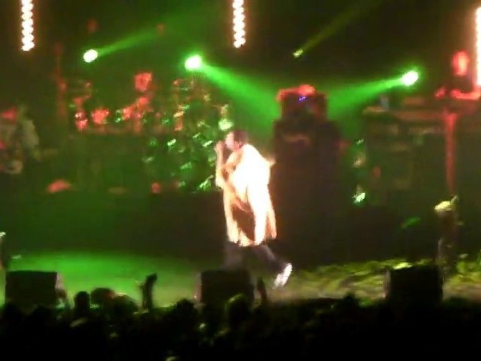 Dub inc - Rudeboy au Zénith de Saint-Étienne le 18/12/2010