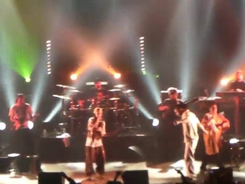 Dub inc feat Balik (Danakil) Zénith Saint-Étienne 18/12/2010