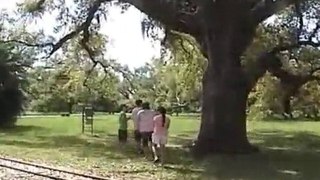 City Park, Lake Ponchartrain, New Orleans