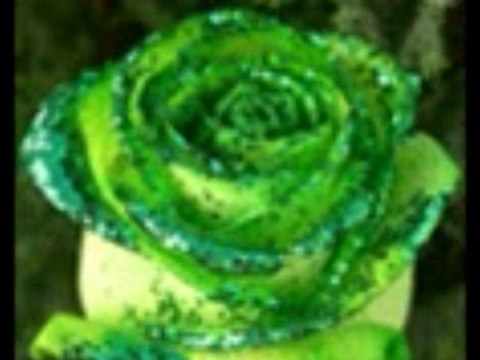 Dj Kral Ft Qarizma - Ayrilik Korkusu